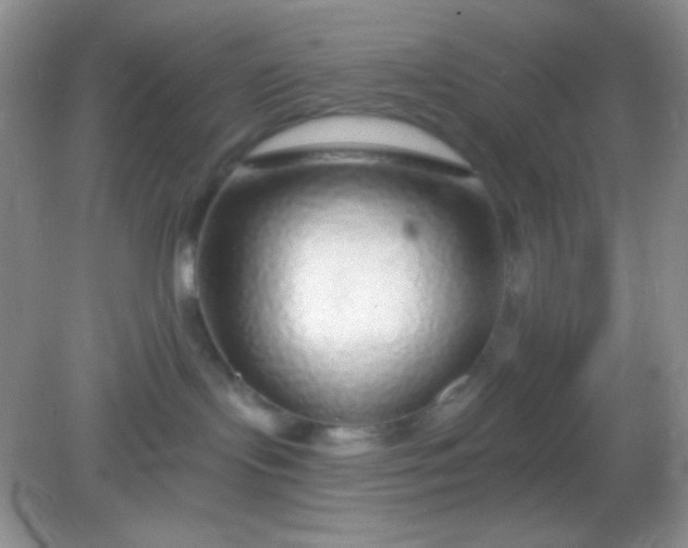 X0000082160095200702021712