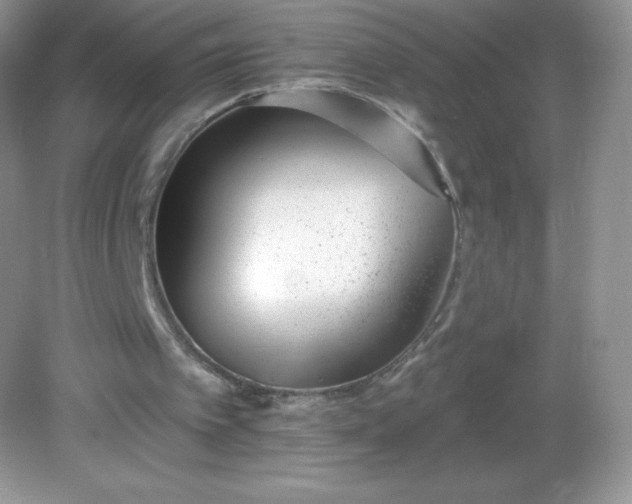 X0000082160097200702021711