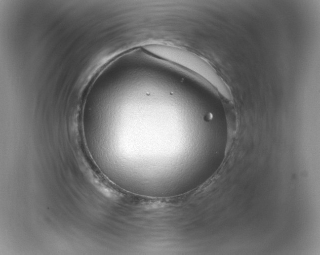 X0000082160098200702021711