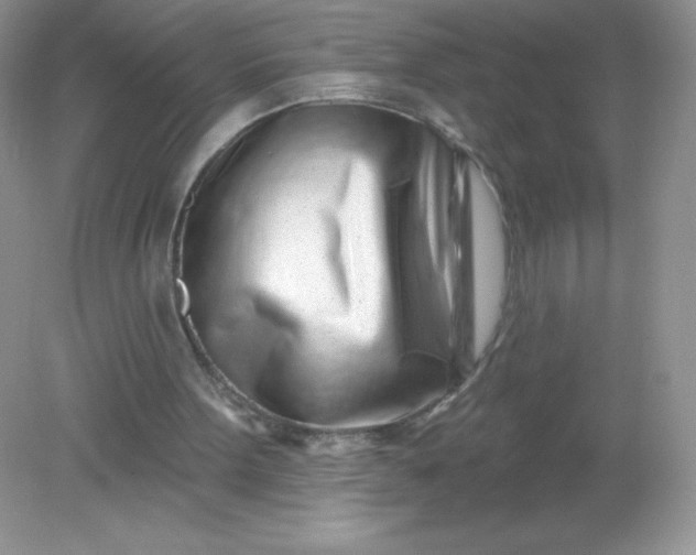 X0000082160099200702021711