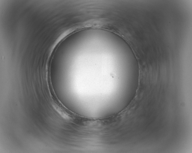 X0000082160100200702021711