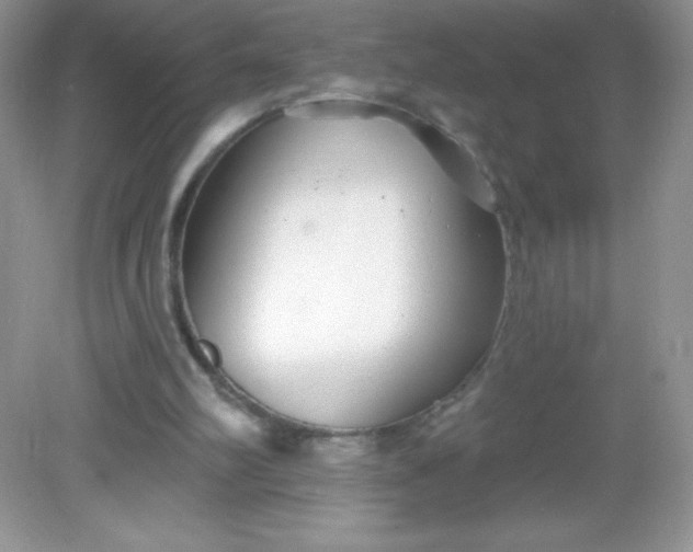 X0000082160102200702021711