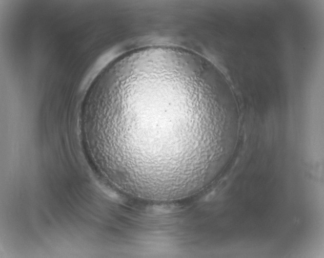 X0000082160103200702021711