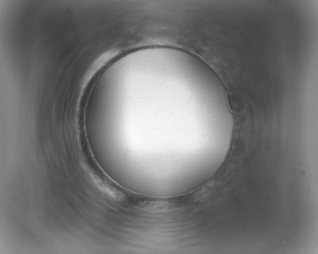 X0000082160104200702021711