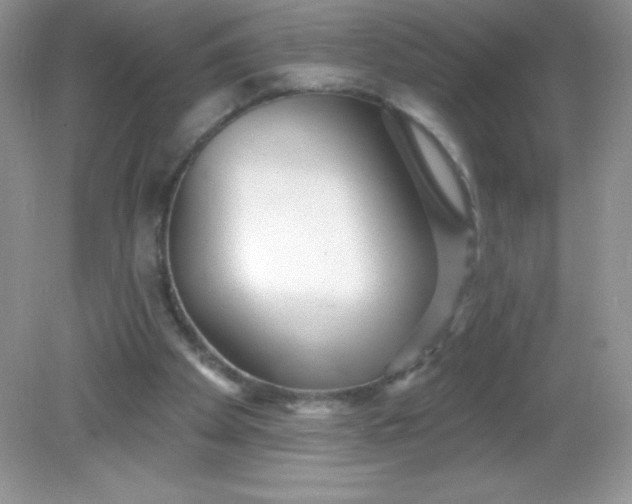 X0000082160105200702021711