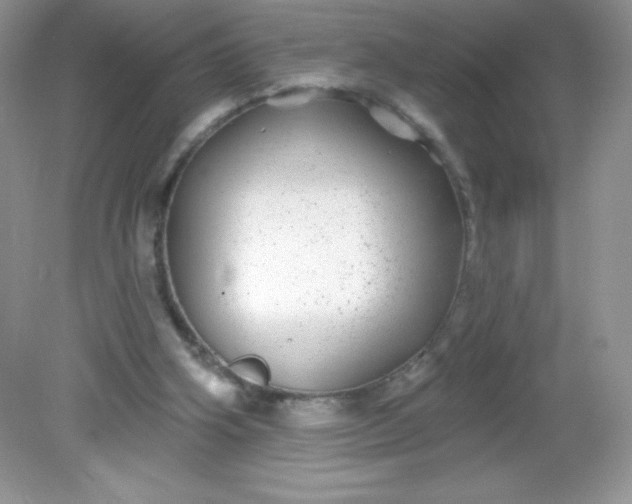 X0000082160106200702021711