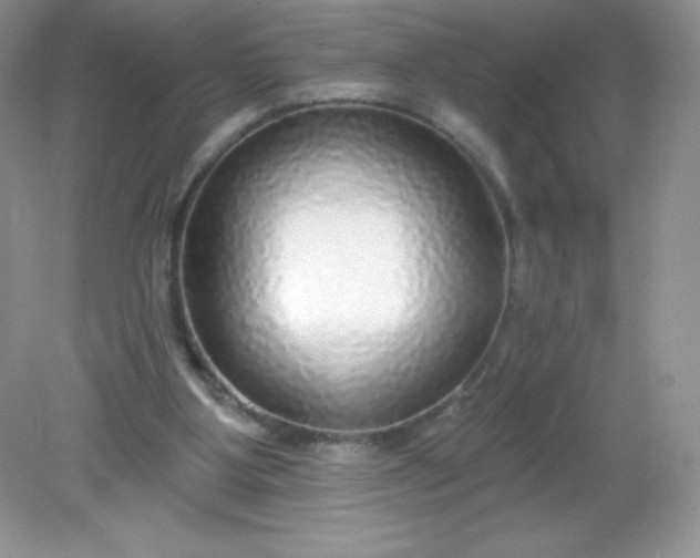 X0000082160107200702021711