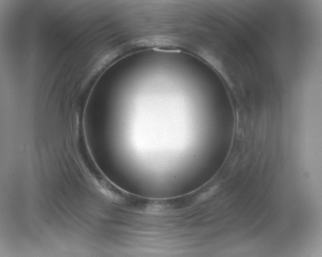 X0000082160109200702021711