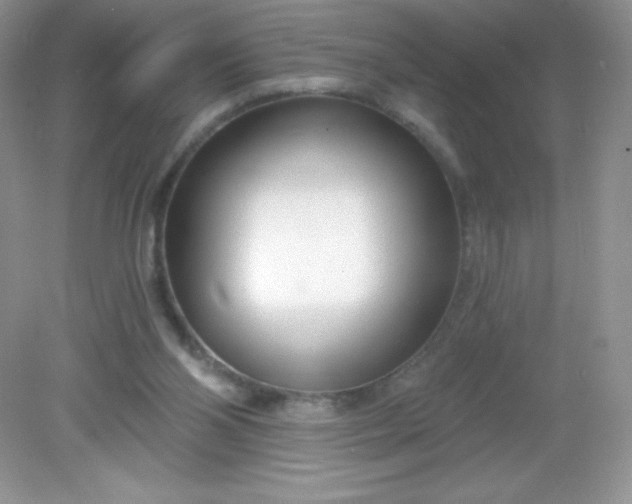 X0000082160110200702021711