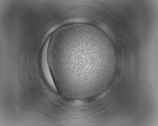 X0000082160111200702021711