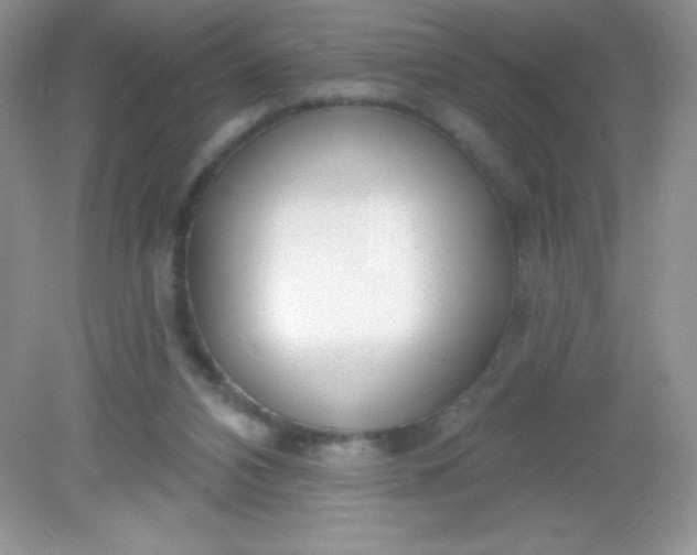 X0000082160112200702021711