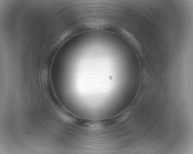 X0000082160113200702021711