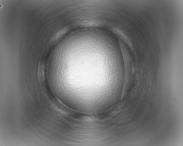 X0000082160115200702021711