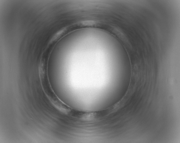 X0000082160116200702021711