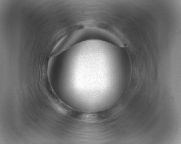 X0000082160117200702021711