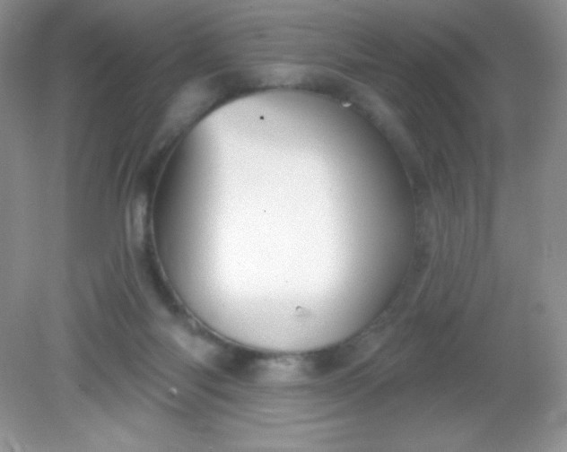 X0000082160118200702021711