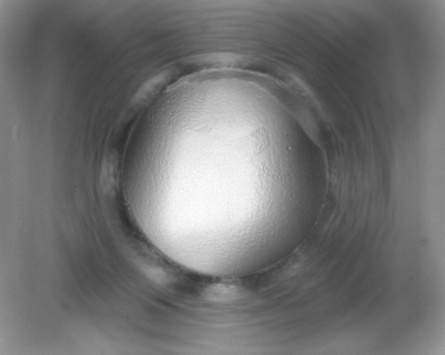 X0000082160119200702021711