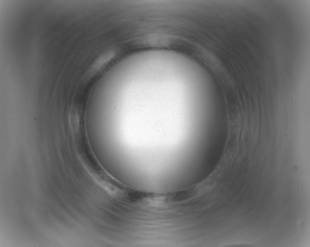 X0000082160120200702021711