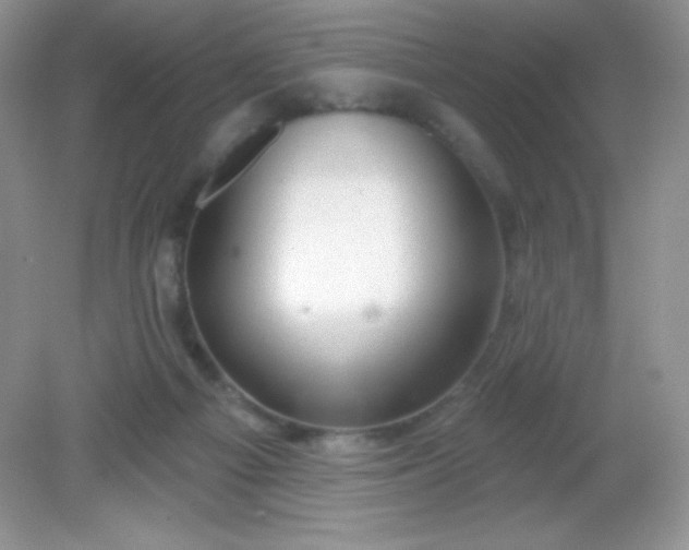 X0000082160121200702021711