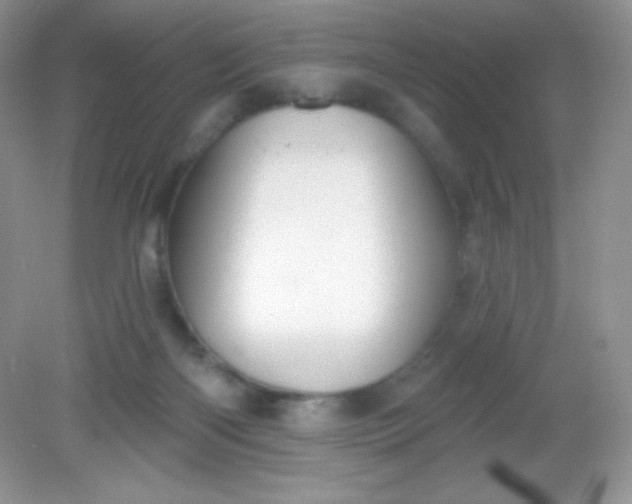 X0000082160122200702021711