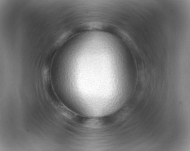 X0000082160123200702021711