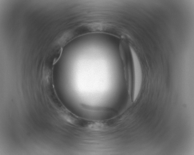 X0000082160125200702021711