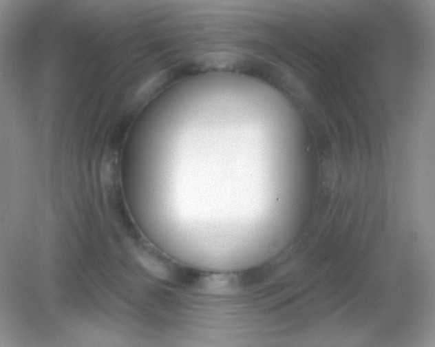 X0000082160126200702021711