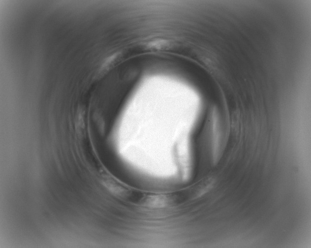 X0000082160127200702021711