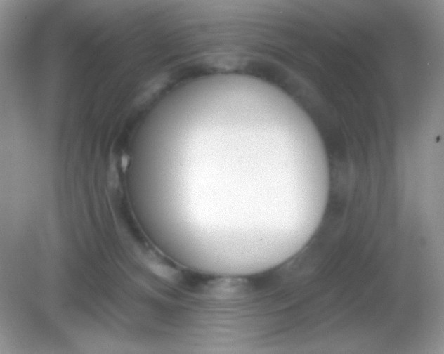 X0000082160128200702021711