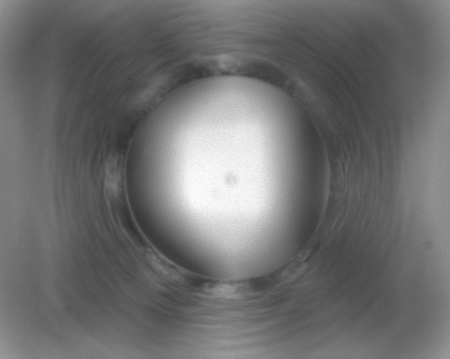 X0000082160129200702021711