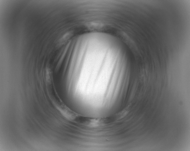 X0000082160130200702021711