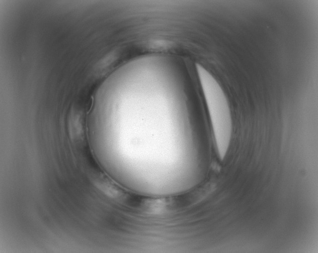 X0000082160131200702021711