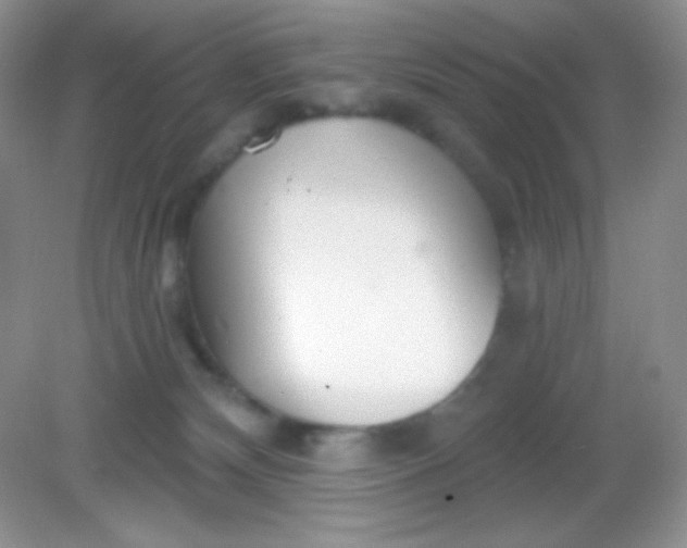 X0000082160132200702021710