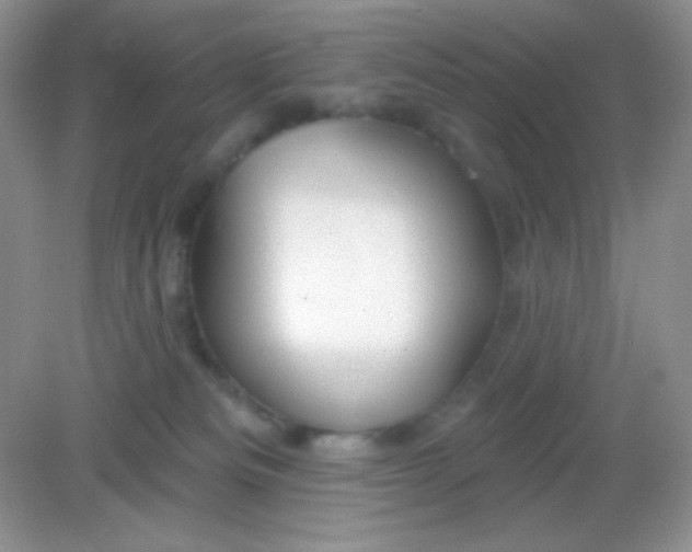 X0000082160133200702021710