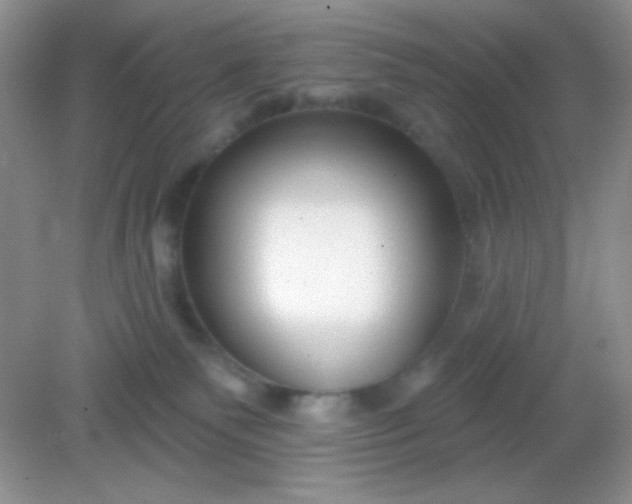 X0000082160135200702021710