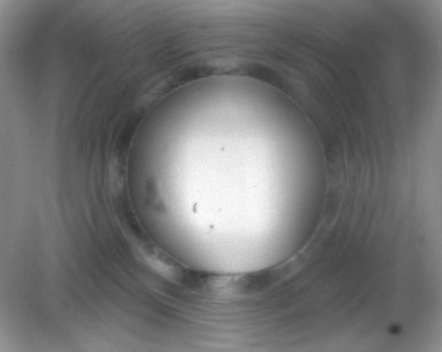 X0000082160136200702021710