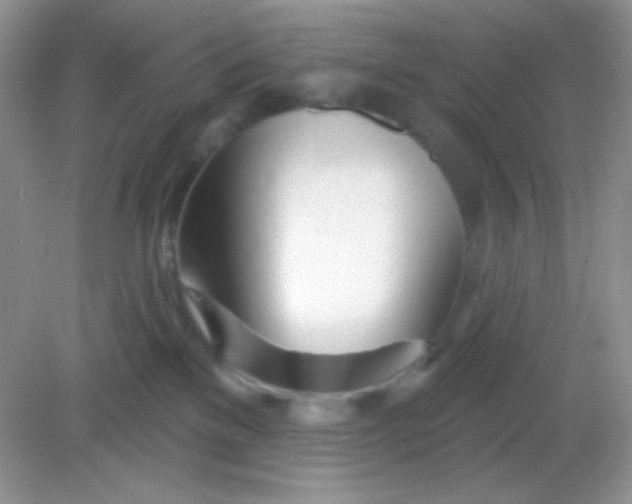 X0000082160137200702021710