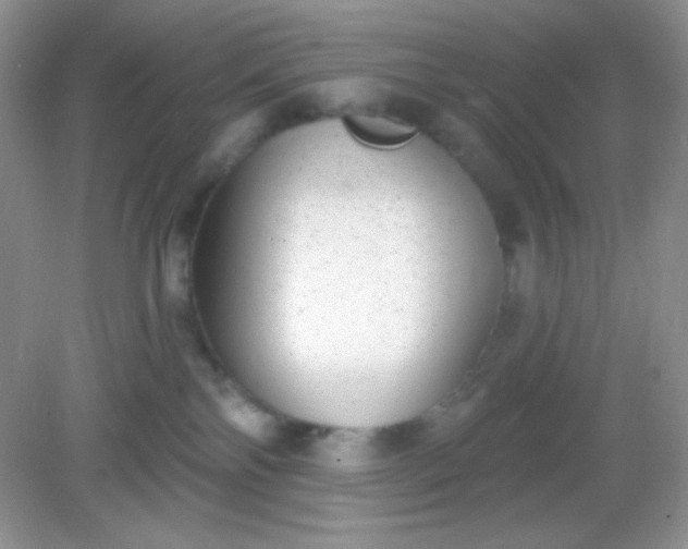 X0000082160138200702021710