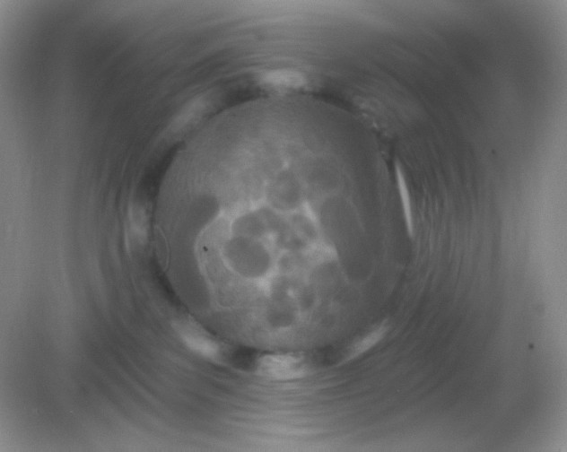 X0000082160139200702021710