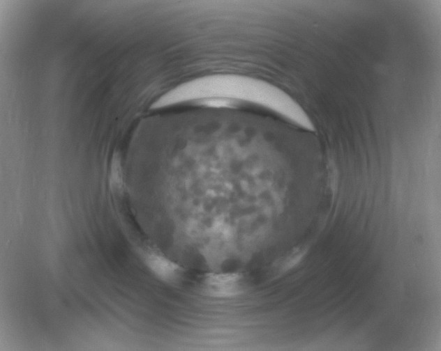 X0000082160143200702021710