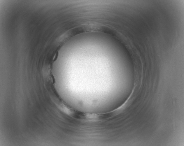 X0000082160144200702021710