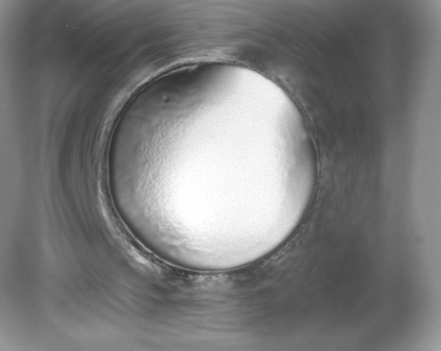 X0000082160145200702021709