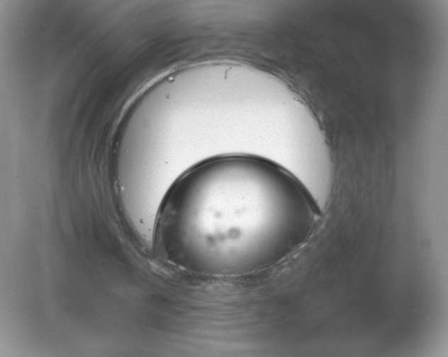 X0000082160146200702021709