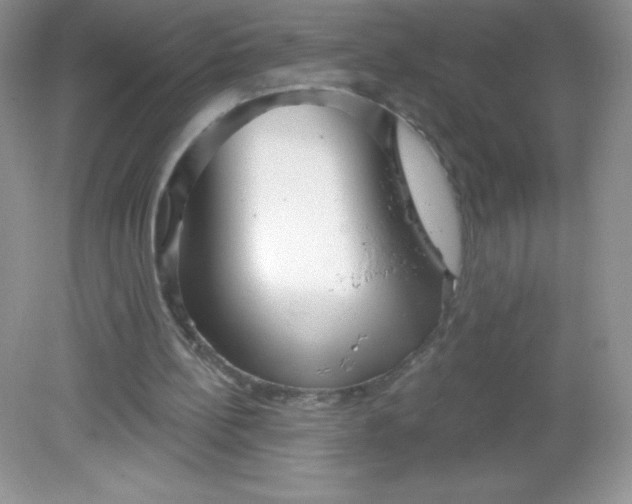 X0000082160148200702021710