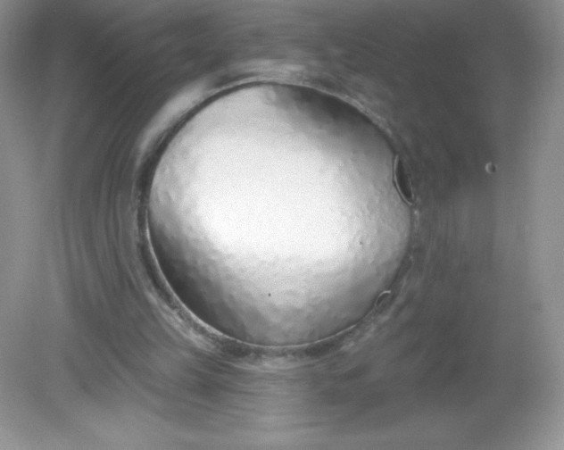 X0000082160149200702021710