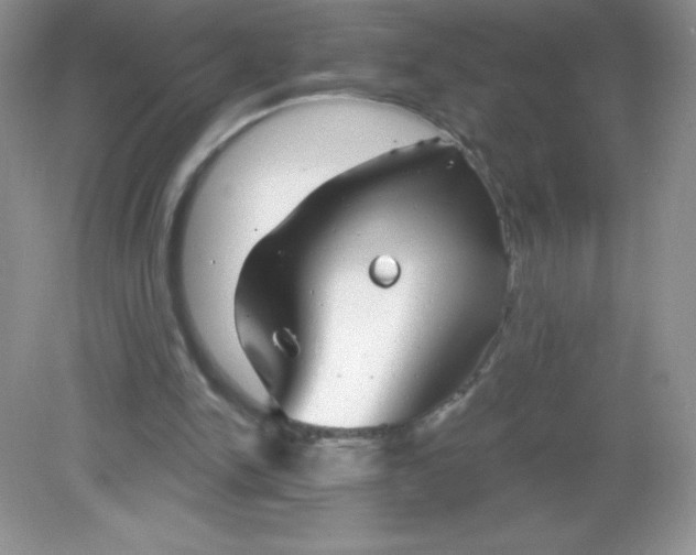 X0000082160150200702021710