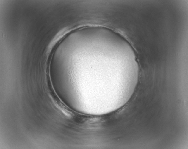 X0000082160151200702021710