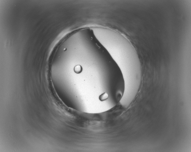 X0000082160152200702021710