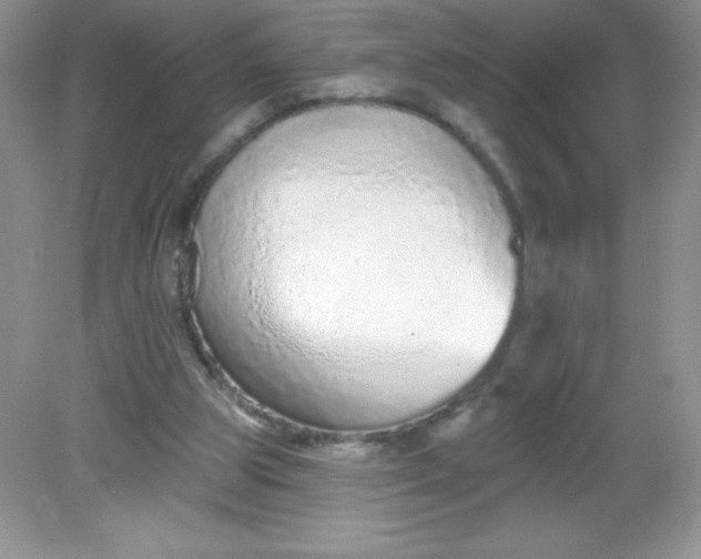 X0000082160153200702021710