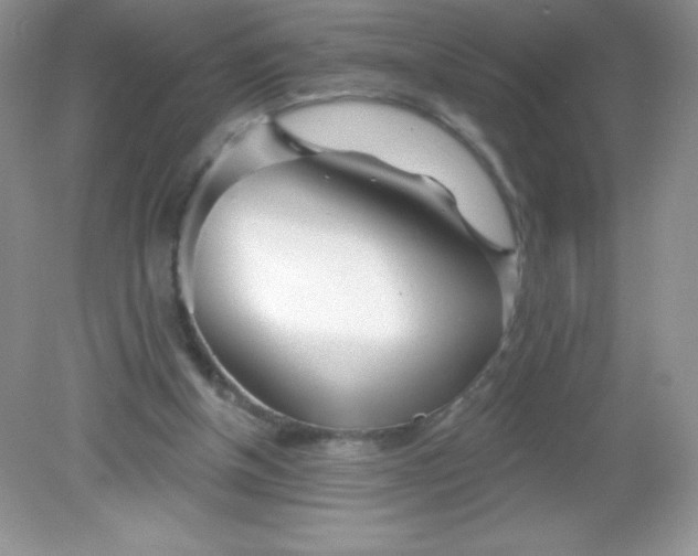 X0000082160154200702021710